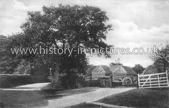 Monkhams Lane, Woodford Green, Essex. c.1916